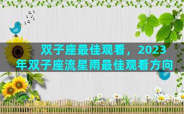 双子座最佳观看，2023年双子座流星雨最佳观看方向