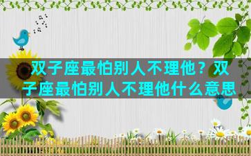 双子座最怕别人不理他？双子座最怕别人不理他什么意思