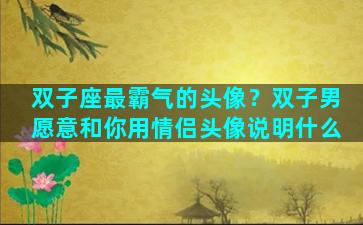 双子座最霸气的头像？双子男愿意和你用情侣头像说明什么