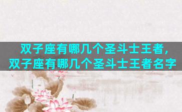 双子座有哪几个圣斗士王者,双子座有哪几个圣斗士王者名字