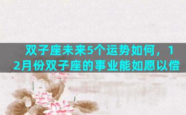 双子座未来5个运势如何，12月份双子座的事业能如愿以偿