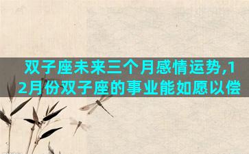 双子座未来三个月感情运势,12月份双子座的事业能如愿以偿