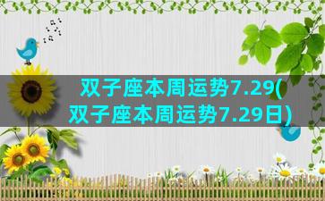双子座本周运势7.29(双子座本周运势7.29日)