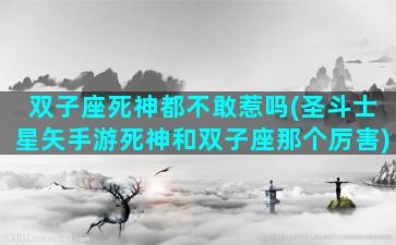 双子座死神都不敢惹吗(圣斗士星矢手游死神和双子座那个厉害)