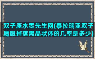 双子座水墨先生网(泰拉瑞亚双子魔眼掉落黑晶状体的几率是多少)