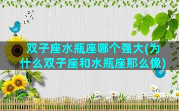 双子座水瓶座哪个强大(为什么双子座和水瓶座那么像)