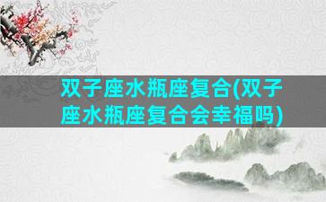 双子座水瓶座复合(双子座水瓶座复合会幸福吗)