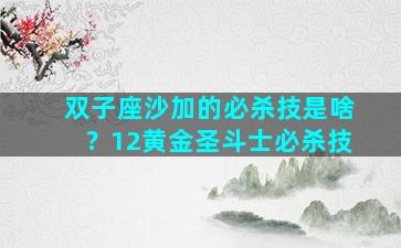 双子座沙加的必杀技是啥？12黄金圣斗士必杀技