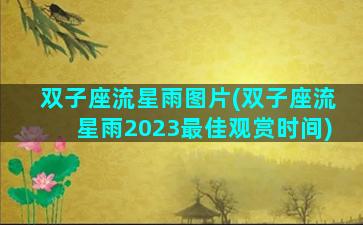 双子座流星雨图片(双子座流星雨2023最佳观赏时间)