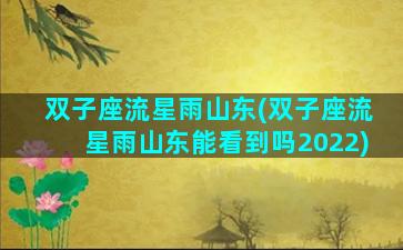双子座流星雨山东(双子座流星雨山东能看到吗2022)