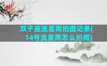 双子座流星雨拍摄记录(14号流星雨怎么拍摄)