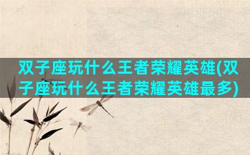 双子座玩什么王者荣耀英雄(双子座玩什么王者荣耀英雄最多)