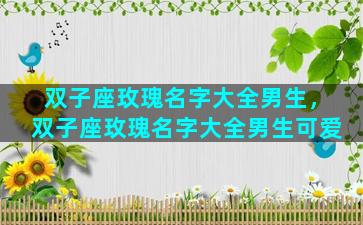 双子座玫瑰名字大全男生，双子座玫瑰名字大全男生可爱