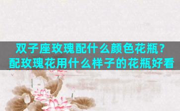 双子座玫瑰配什么颜色花瓶？配玫瑰花用什么样子的花瓶好看