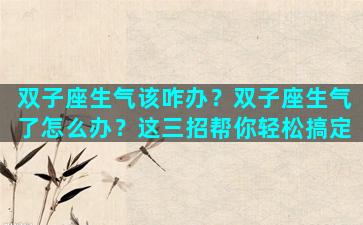 双子座生气该咋办？双子座生气了怎么办？这三招帮你轻松搞定