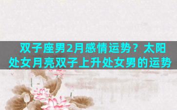 双子座男2月感情运势？太阳处女月亮双子上升处女男的运势
