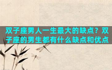 双子座男人一生最大的缺点？双子座的男生都有什么缺点和优点