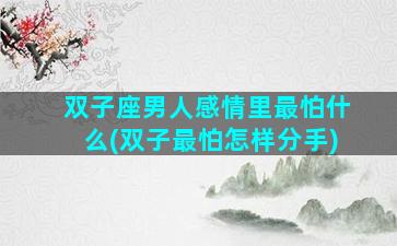 双子座男人感情里最怕什么(双子最怕怎样分手)