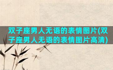 双子座男人无语的表情图片(双子座男人无语的表情图片高清)