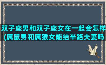 双子座男和双子座女在一起会怎样(属鼠男和属猴女能结半路夫妻吗)
