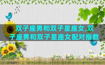 双子座男和双子星座女,双子座男和双子星座女配对指数