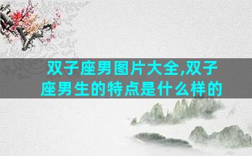 双子座男图片大全,双子座男生的特点是什么样的