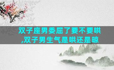 双子座男委屈了要不要哄,双子男生气是哄还是晾