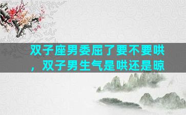 双子座男委屈了要不要哄，双子男生气是哄还是晾