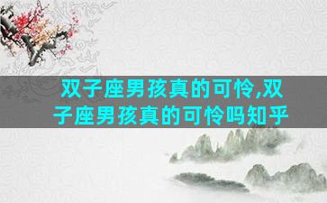 双子座男孩真的可怜,双子座男孩真的可怜吗知乎