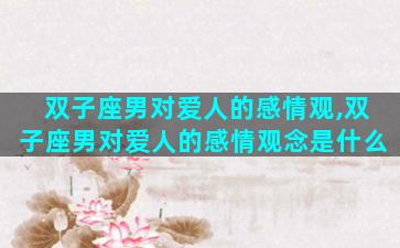 双子座男对爱人的感情观,双子座男对爱人的感情观念是什么