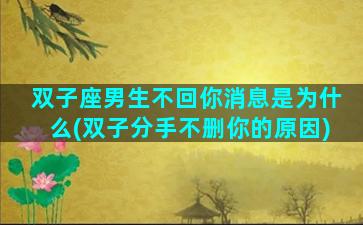 双子座男生不回你消息是为什么(双子分手不删你的原因)