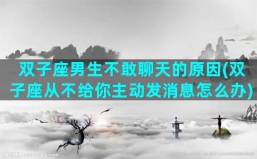 双子座男生不敢聊天的原因(双子座从不给你主动发消息怎么办)
