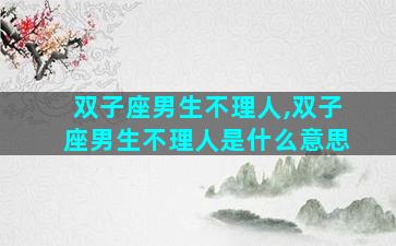 双子座男生不理人,双子座男生不理人是什么意思