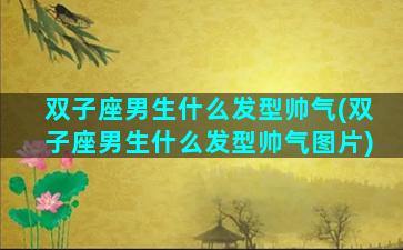双子座男生什么发型帅气(双子座男生什么发型帅气图片)