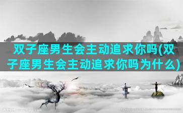 双子座男生会主动追求你吗(双子座男生会主动追求你吗为什么)
