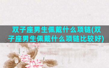 双子座男生佩戴什么项链(双子座男生佩戴什么项链比较好)