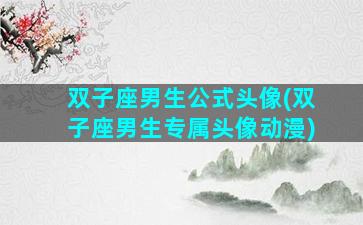 双子座男生公式头像(双子座男生专属头像动漫)