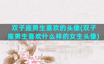 双子座男生喜欢的头像(双子座男生喜欢什么样的女生头像)