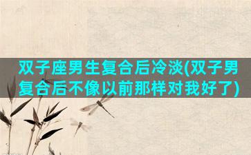 双子座男生复合后冷淡(双子男复合后不像以前那样对我好了)