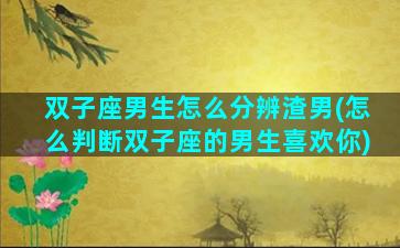 双子座男生怎么分辨渣男(怎么判断双子座的男生喜欢你)