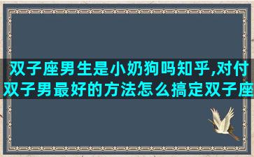 双子座男生是小奶狗吗知乎,对付双子男最好的方法怎么搞定双子座男生