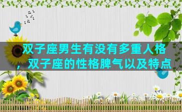 双子座男生有没有多重人格，双子座的性格脾气以及特点