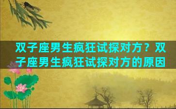 双子座男生疯狂试探对方？双子座男生疯狂试探对方的原因