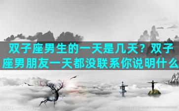 双子座男生的一天是几天？双子座男朋友一天都没联系你说明什么