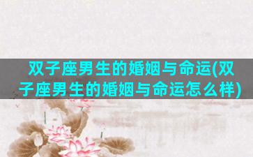双子座男生的婚姻与命运(双子座男生的婚姻与命运怎么样)