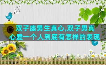 双子座男生真心,双子男真心爱一个人到底有怎样的表现