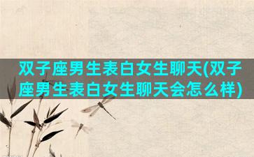 双子座男生表白女生聊天(双子座男生表白女生聊天会怎么样)