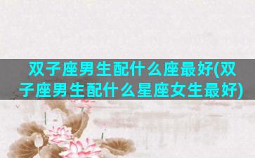 双子座男生配什么座最好(双子座男生配什么星座女生最好)