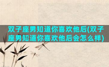 双子座男知道你喜欢他后(双子座男知道你喜欢他后会怎么样)