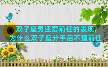 双子座男还爱前任的表现,为什么双子座分手后不理前任